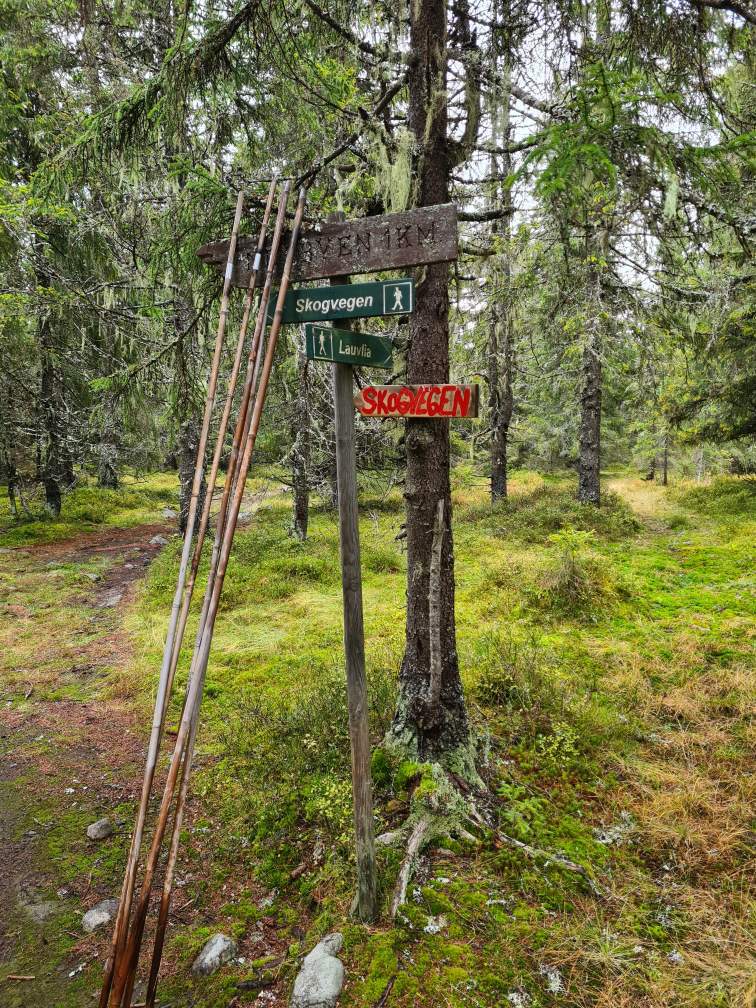 Forberedelse klopping