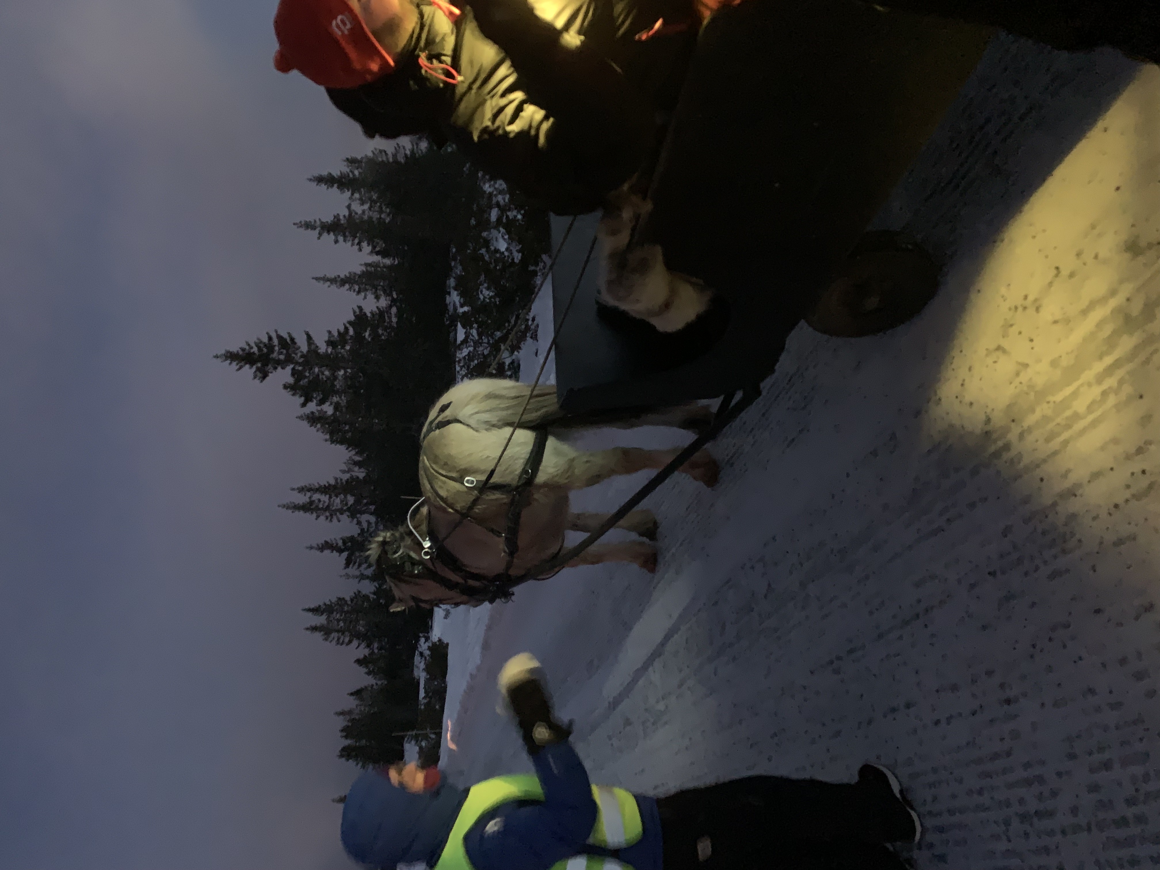 Artikkelbilde til artikkelen Kanefart 2025